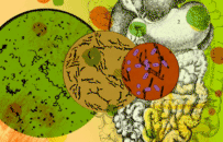 扛住了病毒，却被肠子里反戈的细菌打垮？