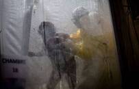 扛住了病毒，却被肠子里反戈的细菌打垮？