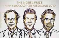 2019诺贝尔生理学\医学奖率先颁出！英美3学者加冕，揭秘血与氧关系，抗击肿瘤和癌症