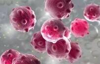 中科院病毒所就在武汉，他们用13年找到SARS“基因库”