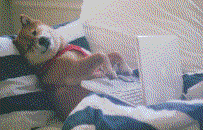 在家办公更容易犯困？先把睡衣换了吧