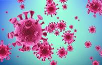 蝙蝠体内为何会有这么多病毒？致命病毒有这些