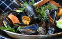 用一只贝壳，科学家窥见7000万年前的日夜