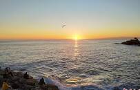 意大利中国留学生自述：疫情汹涌，我为什么没有回国