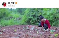 明星、企业家、微商，视频号商业生态谁先吃红利？