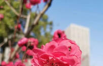 武汉光谷复工进行时：互联网企业可申请复工复产 将应批尽批