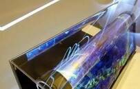 TCL的20亿“豪赌”