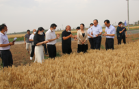 2022年上半年河南省绿色食品原料标准化生产基地验收工作圆满收官
