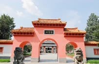 凤鸣|南阳，“药”有底气