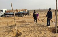 官方通报“林场主跪地求水”：已安排浇灌