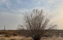 “跪地求水”的孙国友，三大疑问待解