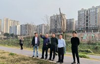 重庆巴南城市能级大幅跃升背后的“土储”之力
