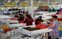2023小龙虾产业大会暨第二届江西永修龙虾节将于6月3日-5日举行