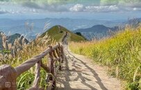 高铁30分钟！比新疆便捷，比川西舒服，这个一图封神的草原，绿色进度100%，现在去美绝了！
