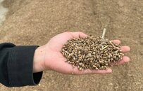 河南多县抢收小麦：连续降雨致大型收割机无法下地，有人10天只割了100亩