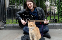 红遍全球的流浪猫鲍勃主人现状曝光！曾靠猫猫买房，如今败光家产再次流落街头……