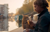 红遍全球的流浪猫鲍勃主人现状曝光！曾靠猫猫买房，如今败光家产再次流落街头……