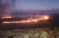 夏威夷山火：遗骸识别难度大，居民质疑政府备灾和响应能力