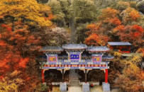 洛阳唯一！老君山入选全国前100
