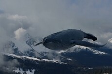 百人初创公司Runway发布AI视频模型 生成质量超谷歌OpenAI竞品