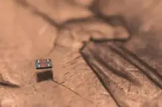 比盐粒还小，科学家研发出世界上最小的自主机器人