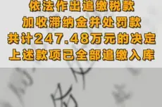 车评人陈震偷税追缴并罚共计247.48万元，税务部门公布案件细节