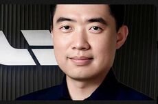 李想还有三根救命毫毛