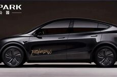 特斯拉Robotaxi上路，定向邀请、30元一次，有钱也体验不上