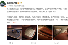 为什么车载音响不能直接套用欧美方案？岚图卢放：中国人耳道结构不一样