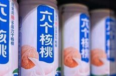 补脑传奇失灵,业绩全线下滑:卖不动的“六个核桃”,押注半导体能行吗?