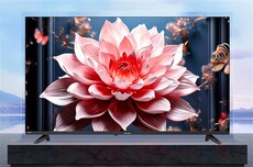 罗永浩痛批电视行业刷屏全网 夏普主动赠送电视：开机无广告