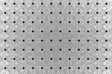 OpenAI称已解决了一道存在80年的数学难题