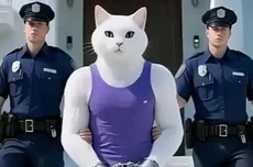 研究:YouTube向新用户展示的视频中超20%是“AI垃圾内容”