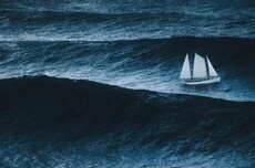 美的、海尔、海信、TCL，一场决定未来十年命运的战争