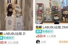80元租一天 闲鱼出现大量卖家出租Labubu