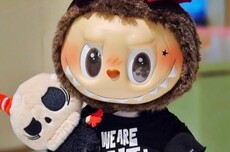 宁波海关查获2万多个假布布