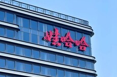 “大小姐”宗馥莉，“换血”娃哈哈？
