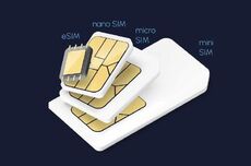 传中国电信下半年不会推eSIM 内部人士：有技术问题