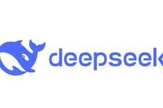 网友称DeepSeek信息错误承诺补偿3000元却未兑现