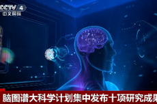 中国科学家在世界上首次绘制，十项重磅脑科学成果“一锅出”