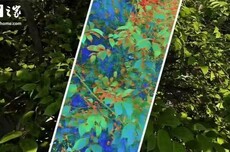 英特尔推出新工具：用AI给游戏画质打分