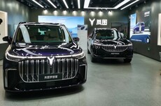 岚图汽车报案！“已初步指向某品牌代理商”