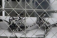 影石进军无人机市场！全景相机或是特色，要用新玩法挑战大疆？