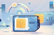 国产手机终于要用上eSIM了，但我劝你别抱太大期待