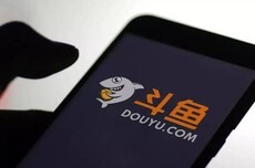 斗鱼2025年二季度营收10.54亿元，净利润3783万元