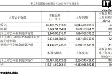 赛力斯2025上半年归母净利润29.41亿元同比增长81%