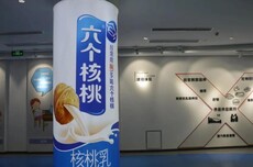 主业大降，理财续命：六个核桃母公司，急需给自己“补脑”