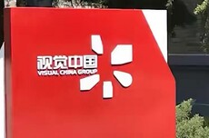 视觉中国2025上半年营收近4亿元，净利润4377.88万元
