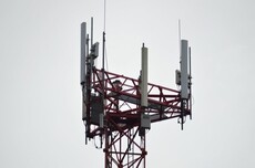 国家打造“宽带林草”：90％都要通上4G/5G