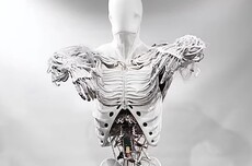 科学家研发新型人造肌肉：可软可硬可伸展，能举起4000倍自重